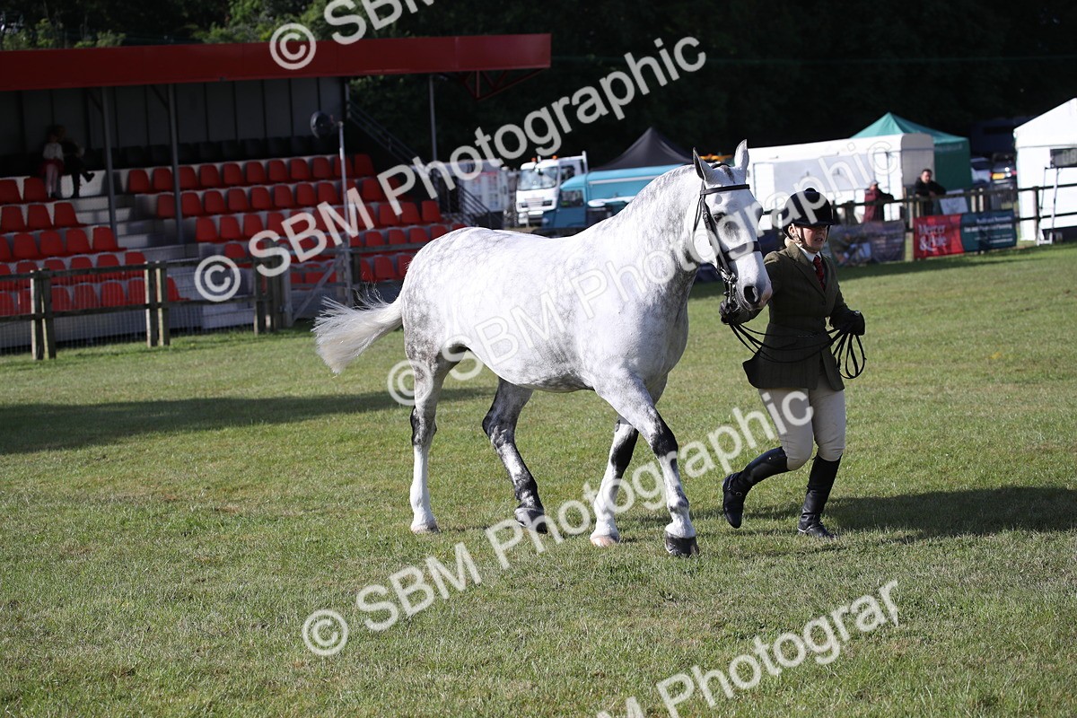SBM_11128 - Class 92-93 - LIHS BSHA Rising Star Cobs
