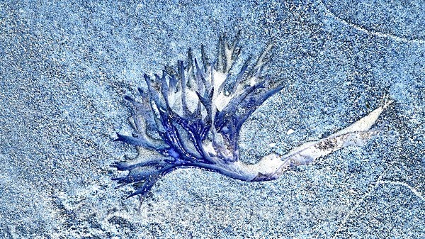  - The Sand Gallery