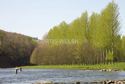 48 - SCOTTISH BORDERS