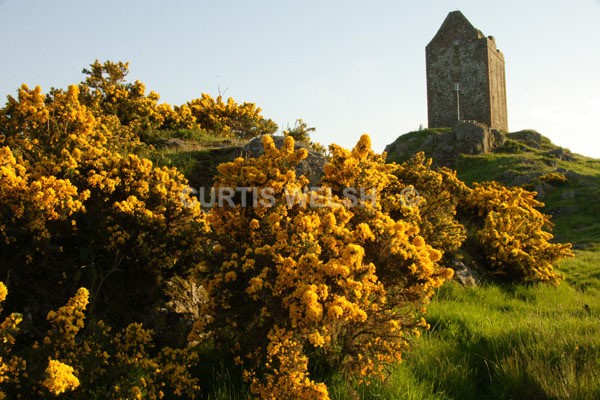 29 - SCOTTISH BORDERS