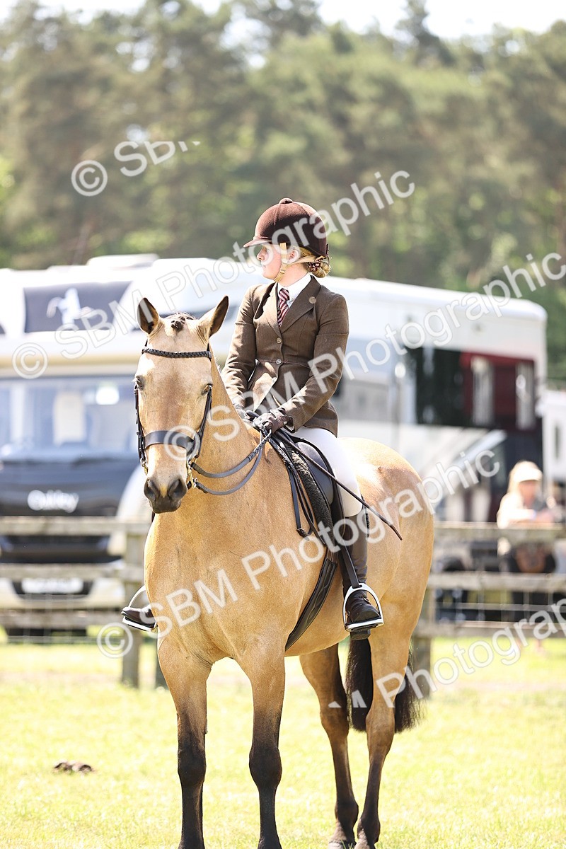 SBM_15138 - Class 79-80 - LIHS BSHA Rising Star Ridden Hunter