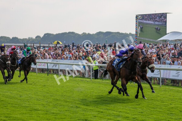 yr05092021r4-19 - Race 4 3.45pm Coopers Marquees British EBF Future Stayers' Novice Stakes