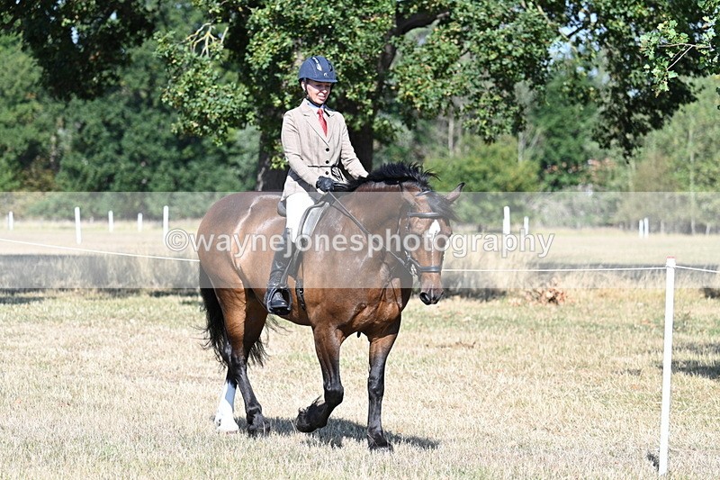 WJ7_3377 - Class 9 Mountain & Moorland Ridden