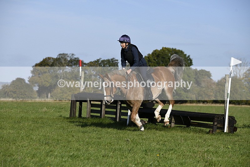 _DSC4428 - Time 09:57 to 10:26