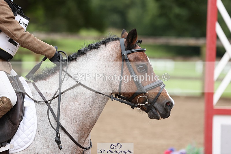 240822X-092406-00497 - 40cm R1 8.30 to 9.30