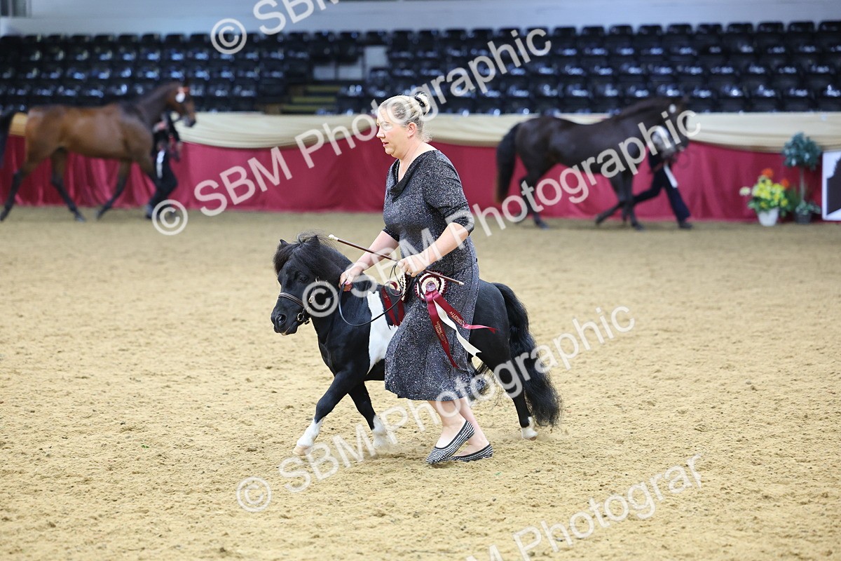 SBM_23045 - Class 903 - Supreme Final - IH Pre Vet