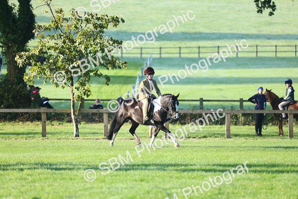 SBM_31786 - S28 - Nursery Stakes Working Hunter Pony