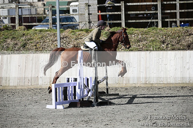 BVRC SJ 170319 219 - Bourne Valley Riding Club Showjumping 17/03/19
