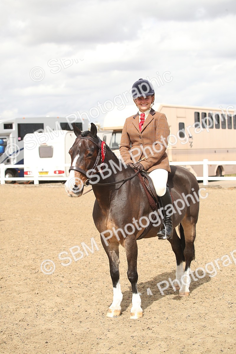 SBM_16554 - Class 506b - Working Veteran - 50cm (20+)