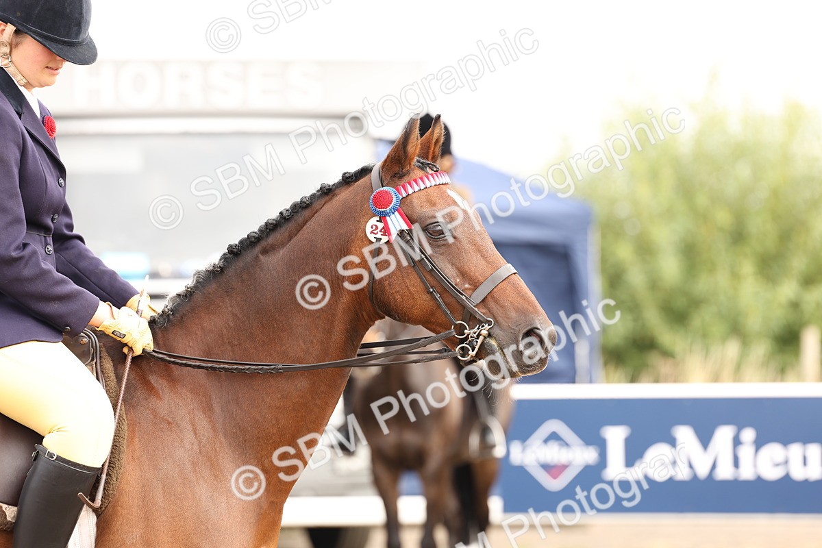 SBM_01570 - Class 52 - Ridden Veteran