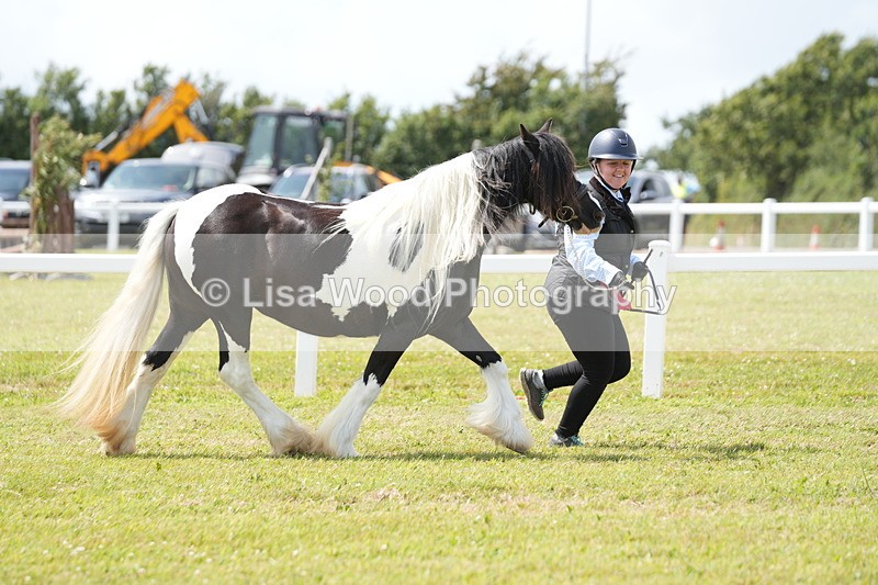 DSC06982 - Class 60: Coloured Pony 4yrs & over