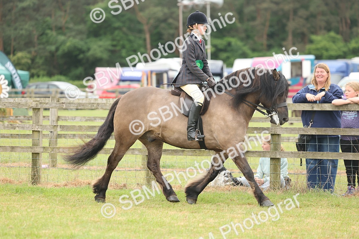 SBM_09065 - Class 78-80 - Ridden M&M Non Welsh Ponies