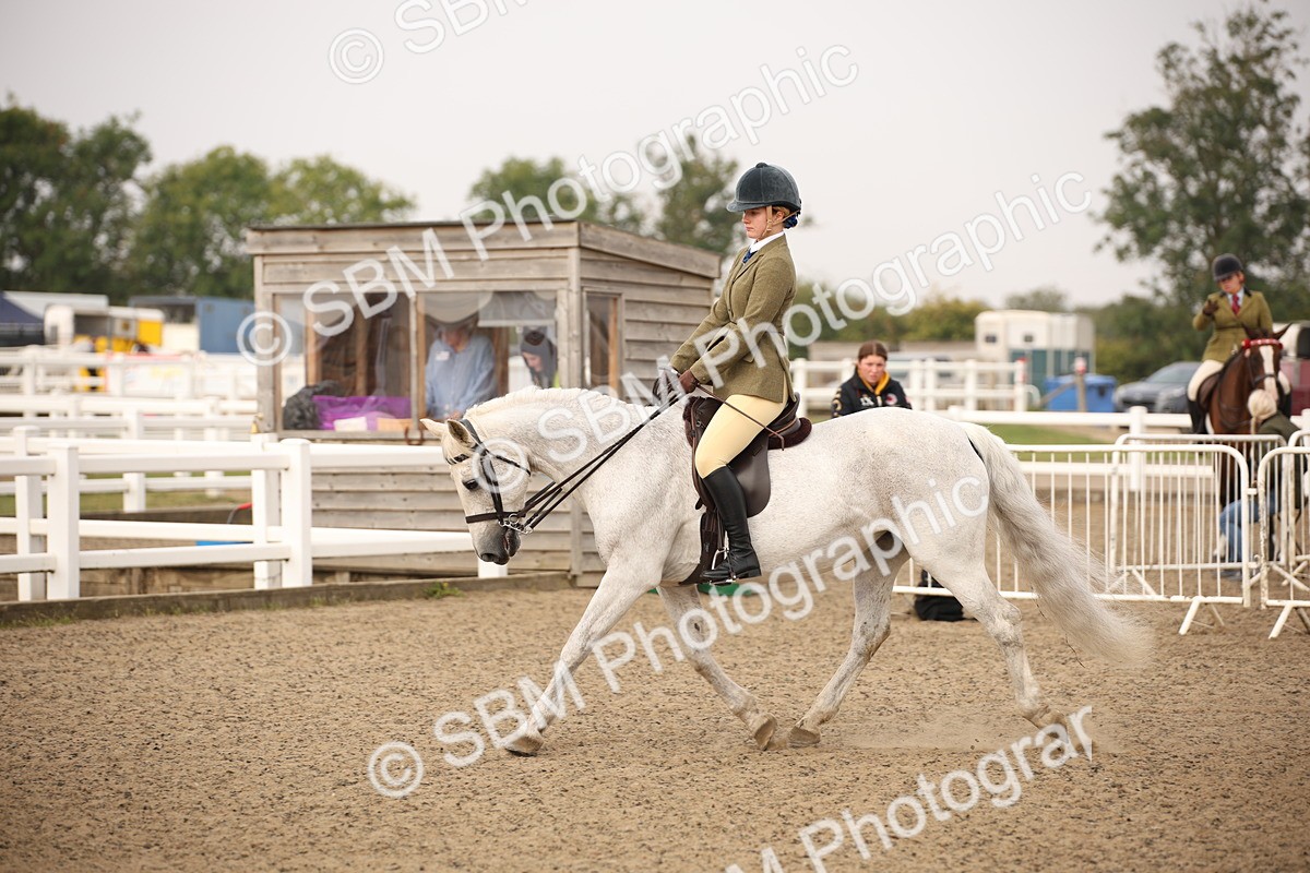 SBM_09810 - Class 401 Riding Club Pony