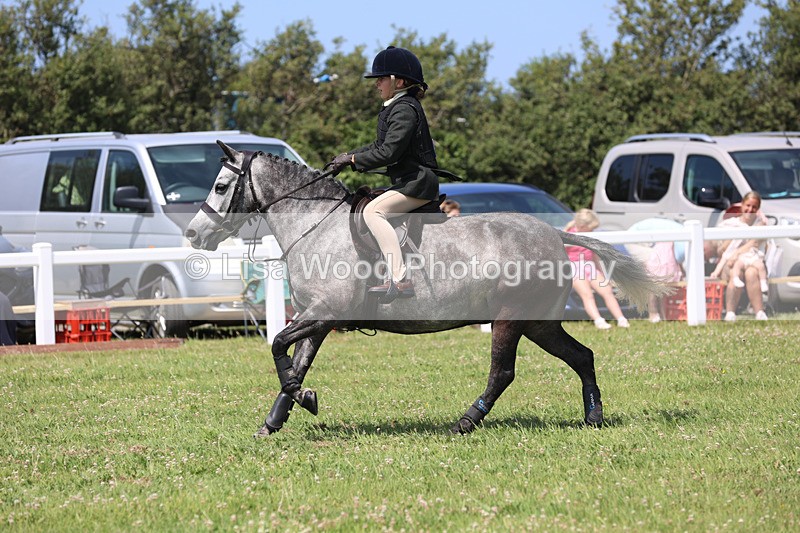 JPP_2610 - Class 21: Working Hunter 60cm