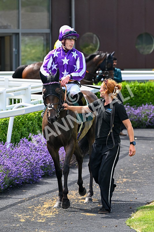 080726-Race 2-Penny Capri-6876 - Race 2 14.30pm Download The Raceday Ready App Nursery Handicap
