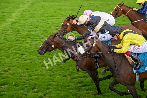 220824-Race 7-Alfa Kellenic-8099 - Race 7 5.20pm British EBF Fillies' Handicap