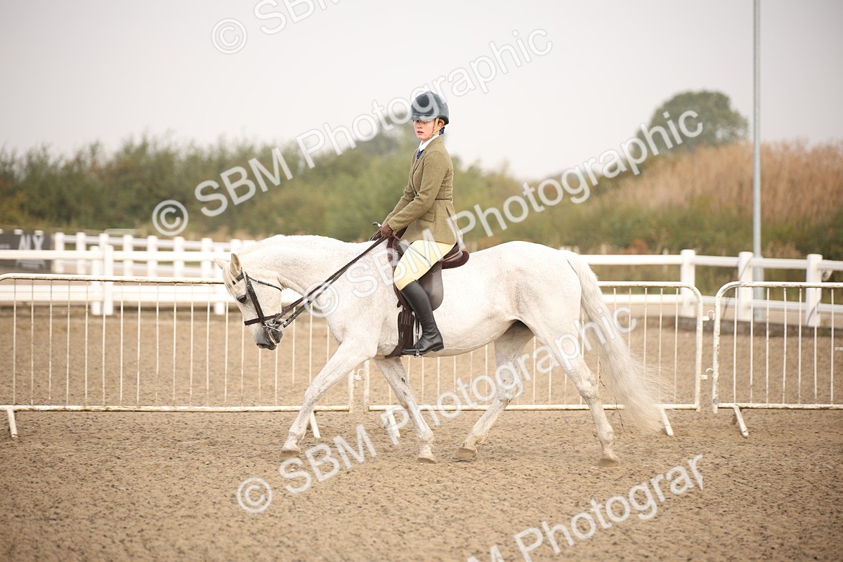 SBM_09711 - Class 401 Riding Club Pony