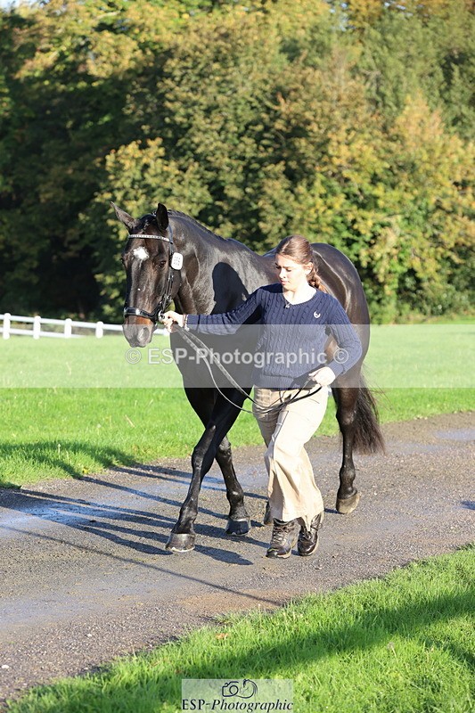 251026A-093626-22367 - D-356-Eloise.Starr