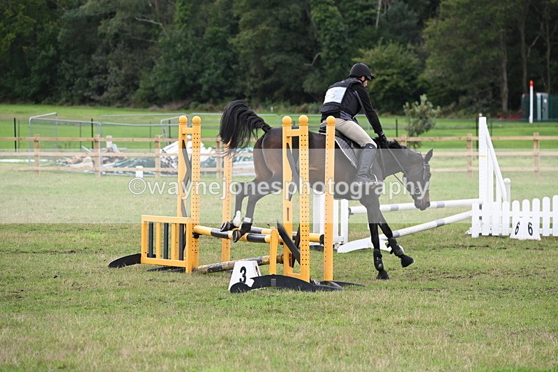 WJ6_1982 - 60cm Time 12:30 to 12:49