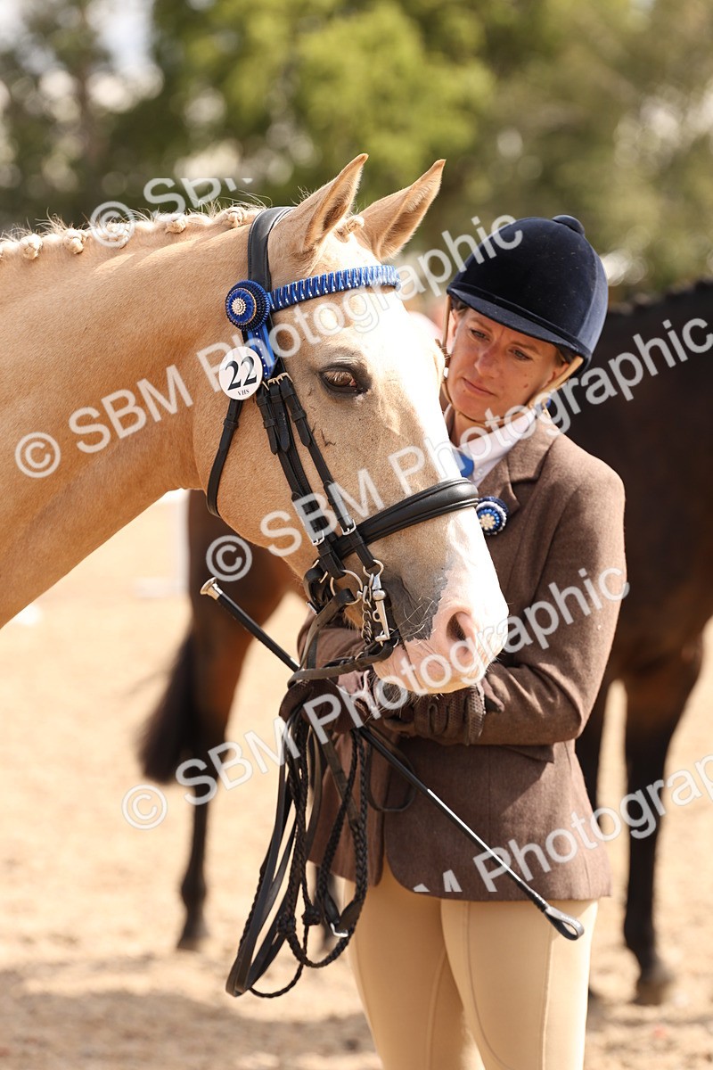 SBM_14717 - Class 208 - IH Veteran Horse