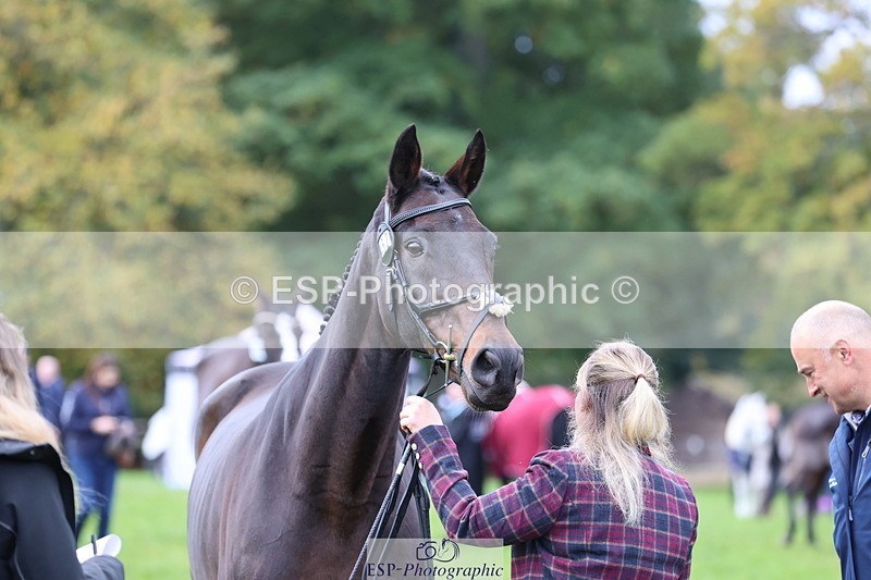 251026A-104609-23252 - F-452-Suzy.Stoneman