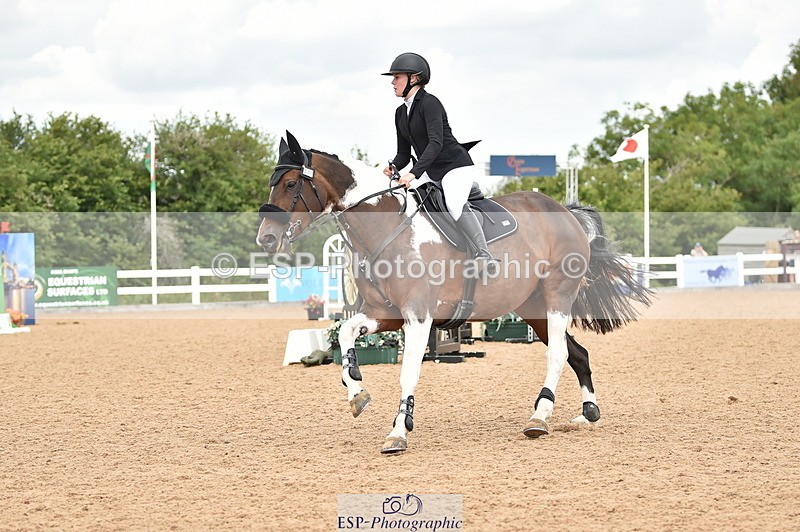 230720A-121208-02484 - Cls 13, 1 Star Bronze 1.10m