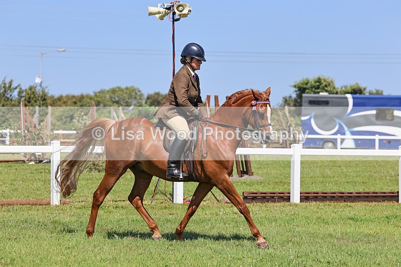 IMG_2253 - Class 37: Pure, Anglo & Part Bred Ridden Arab
