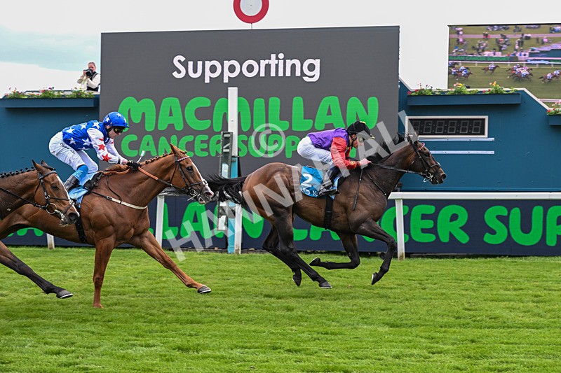 150526-Race 3-Warrant Holder-7565 - Race 3 2.55pm Support Macmillan Charity Raceday On 13 June Handicap