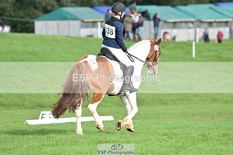 231020-102757-07625 - 638-I.FOUND.NEMO-Jacky.Jones-DR