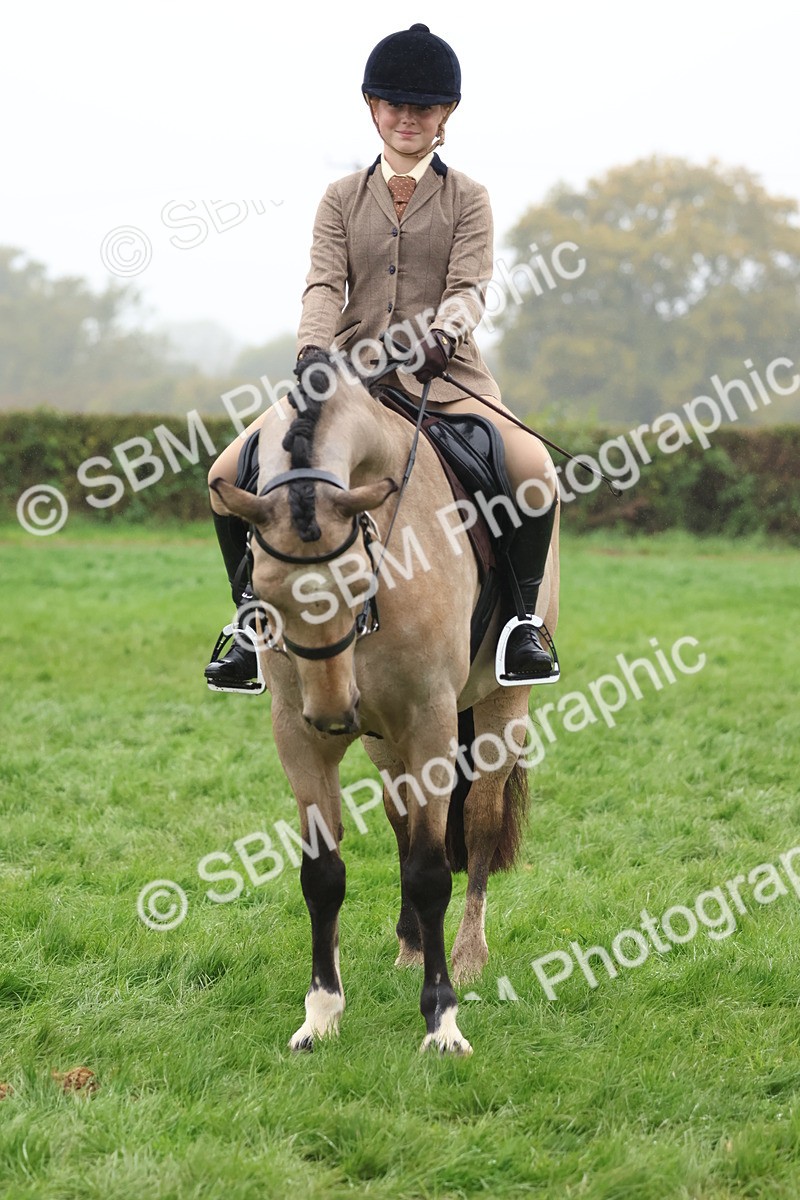 SBM_73032 - S63 Show Pony & Show Hunter Pony Ridden