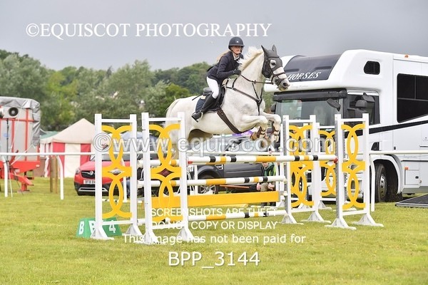 BPP_3144 - CLASS 2 SENIOR FOX/1.20M OPEN