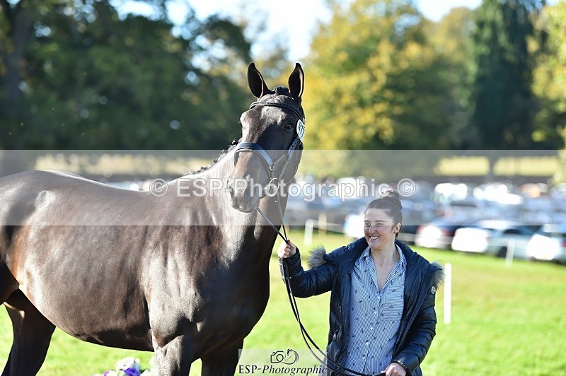 231022-103038-22533 - 477-NPS.KLASSEY-Elizabeth.Jones-TrotUp+SJ