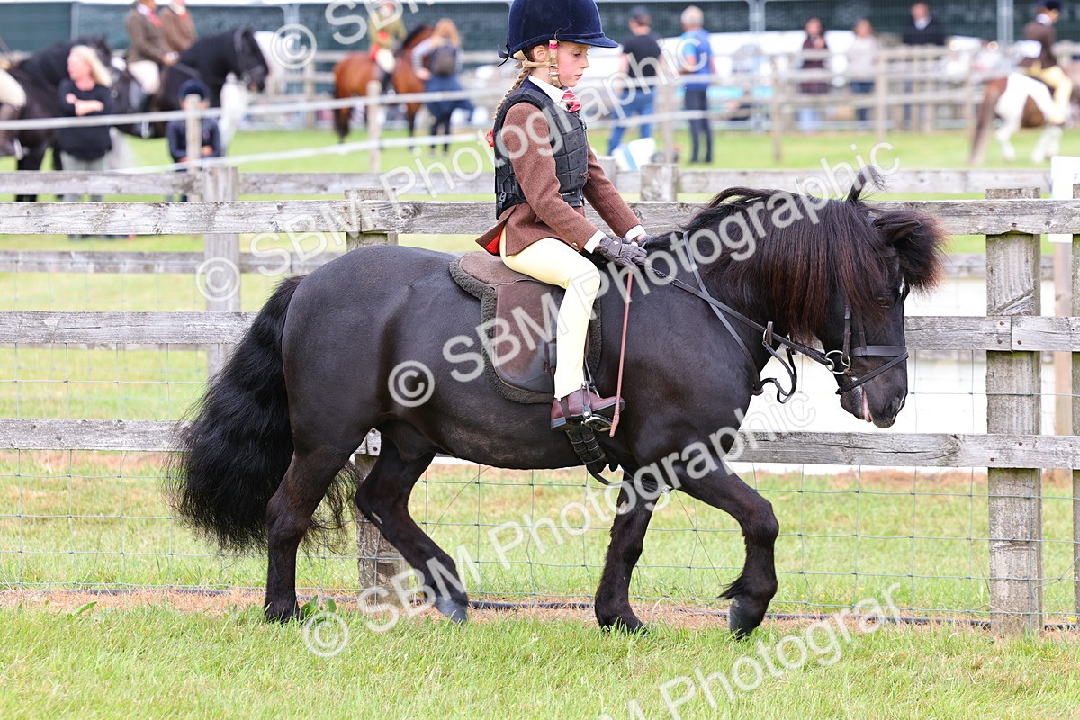 SBM_08499 - Class 42-43 - LIHS BSPS Heritage Working Sports Pony