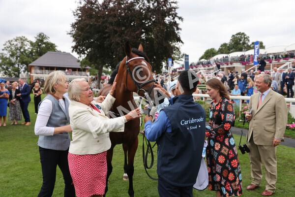 yr18082022r6-52 - Race 6 4.45 pm OR8wellness ebfstallions Nursery Handicap