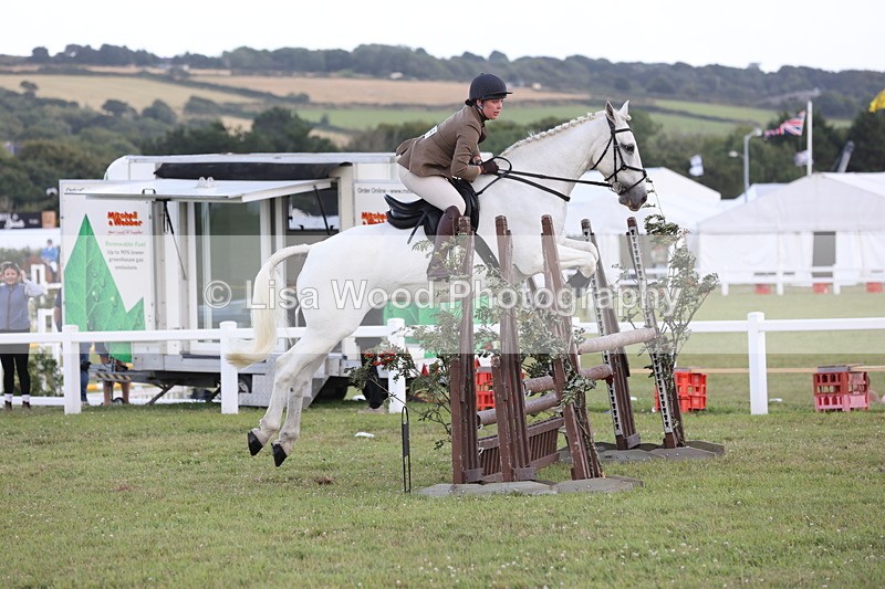 JPP_3624 - Class 24: Open Working Hunter