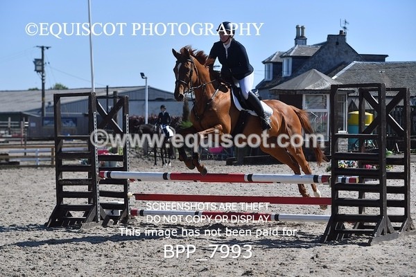 BPP_7993 - CLASS 2 Club/ Unaffiliated 80cms Open