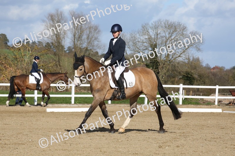 20260314-4262 - DR5 - Novice 1