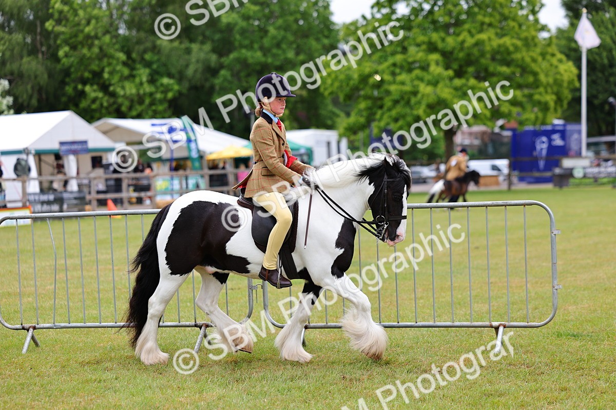 SBM_02605 - Class 9-11 Side Saddle including LIHS Rising Star Ladies Show Horse