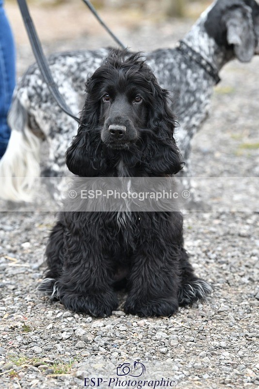 230817-124549-02808 - Stable Shots