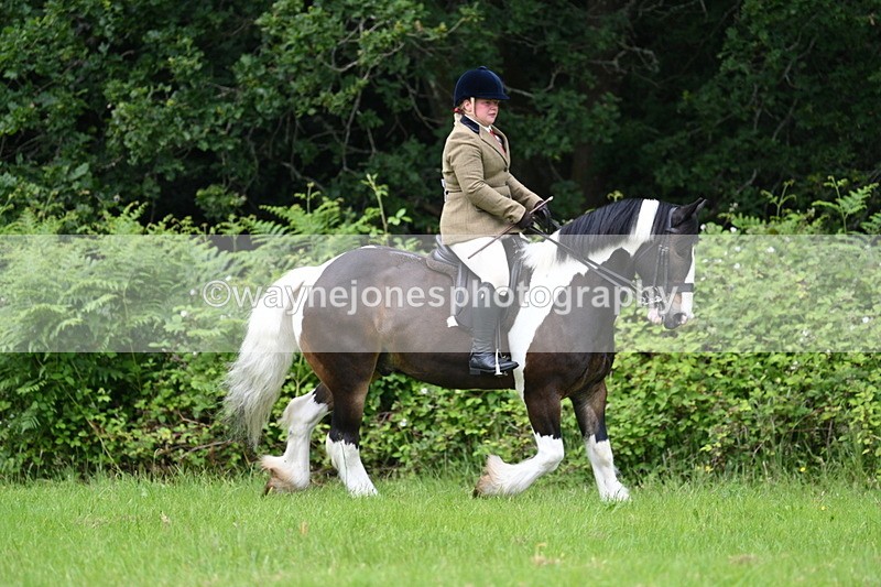 WJ7_2318 - Class 12A Coloured Class