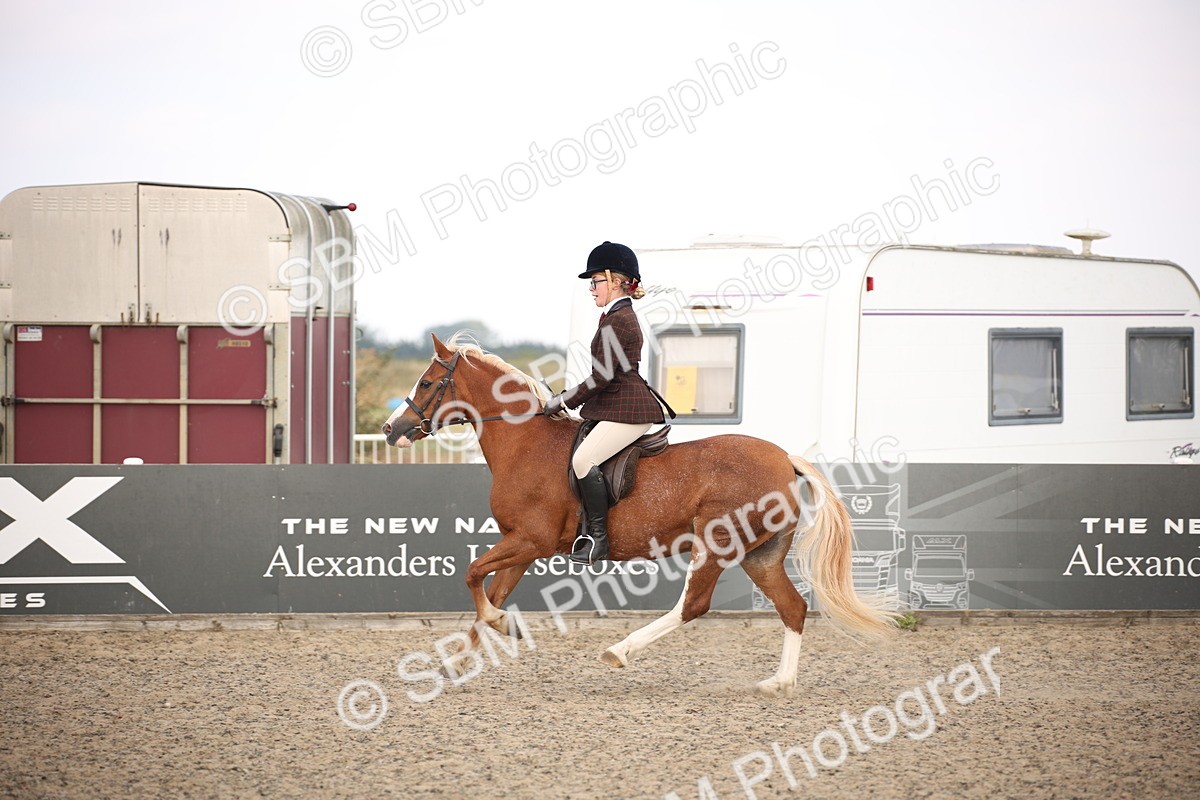 SBM_16020 - Class 408b - Working Veteran 70cm (20+)