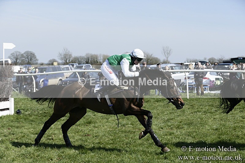 PtP 260317 104 - Mendip Farmers Point-to-Point Ston Easton 26/03/17