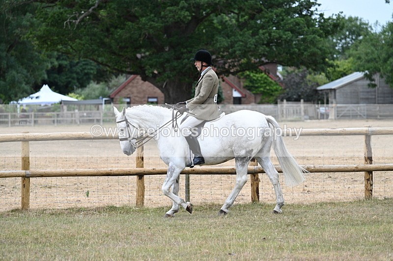 WJ7_0784 - Class 7 Riding Club Show Horse