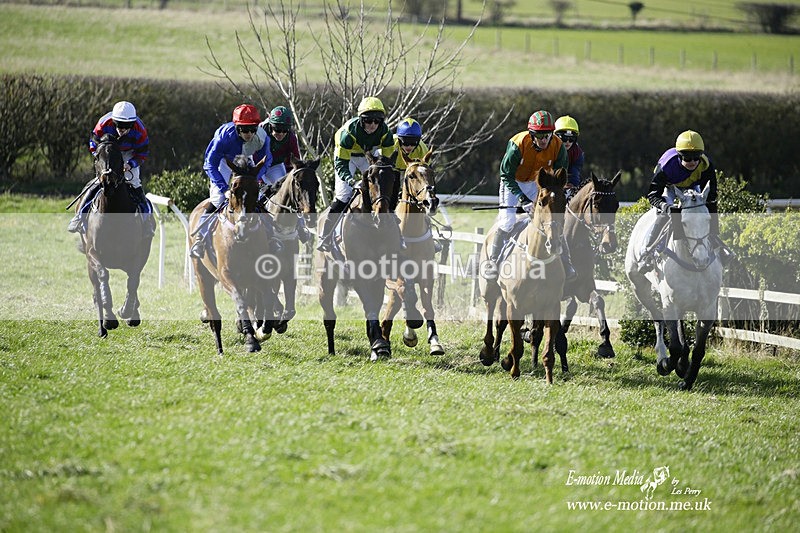 PtP 260222 199 - Kingston Blount Racing Club Point-to-Point 26/02/22