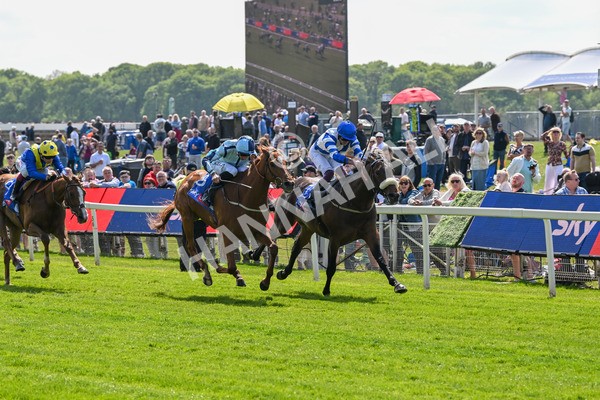 140525-Race 1-Almoshher-1579 - Race 1 2.10pm Sky Bet Race To The Ebor Jorvik Handicap
