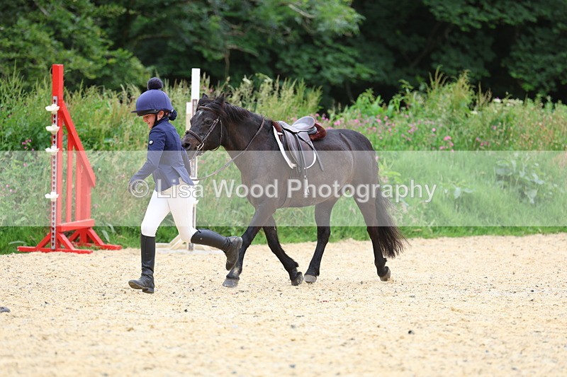 3E7A9335 - Walk trot run