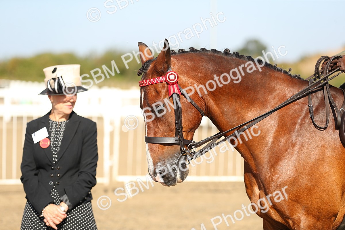 SBM_01204 - Class 42 Ridden Veteran