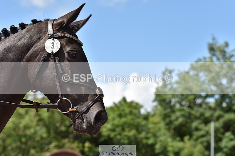 240706A-151106-03461 - Cls 4C Snr Novice 23