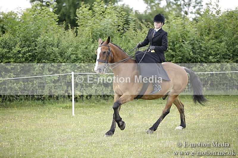 BVR160717-1940 - Side Saddle Classes 16/07/17