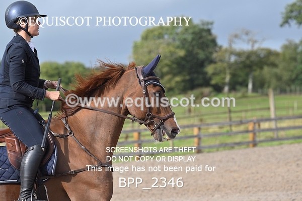 BPP_2346 - CLASS 5  Senior Foxhunter/ 1.20m Open
